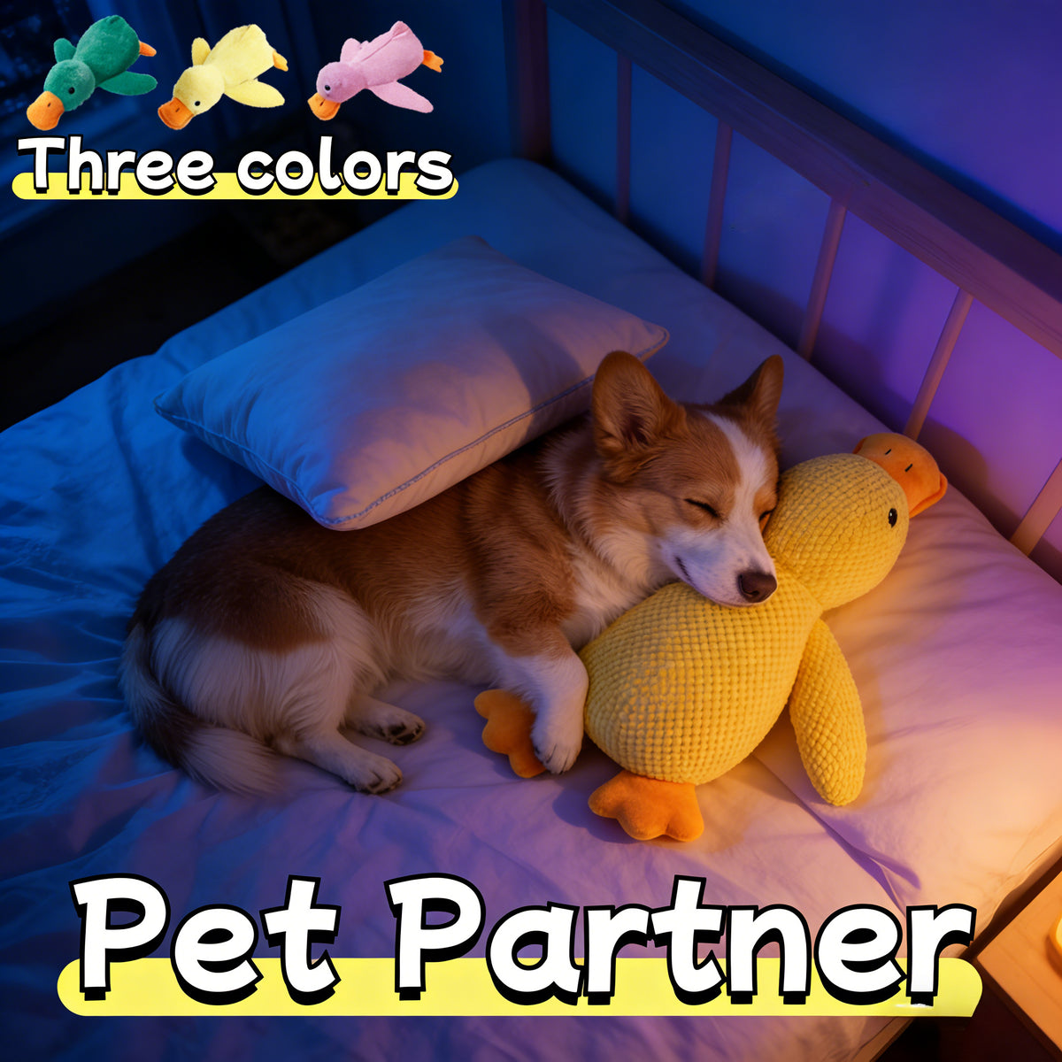 Dog carrying the duck toy
