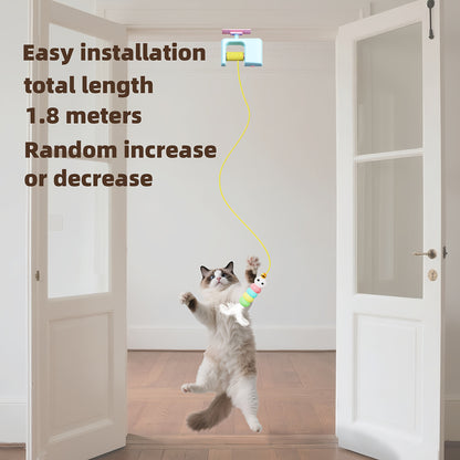 Automatic swinging cat toy hung over a door
