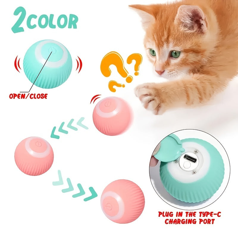 Cat chasing the rolling ball