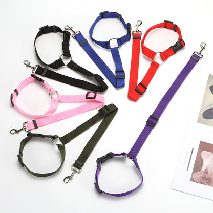 Car seat belt tether colour options