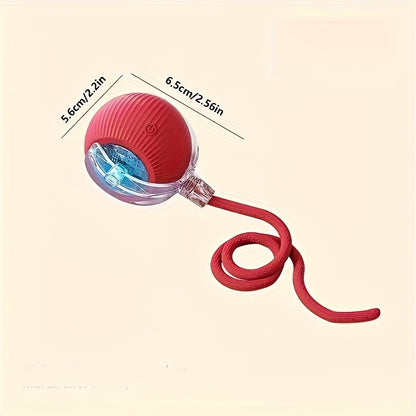 Cat chasing the tail rope ball