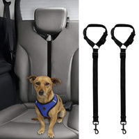 Car Seat Belt Tether