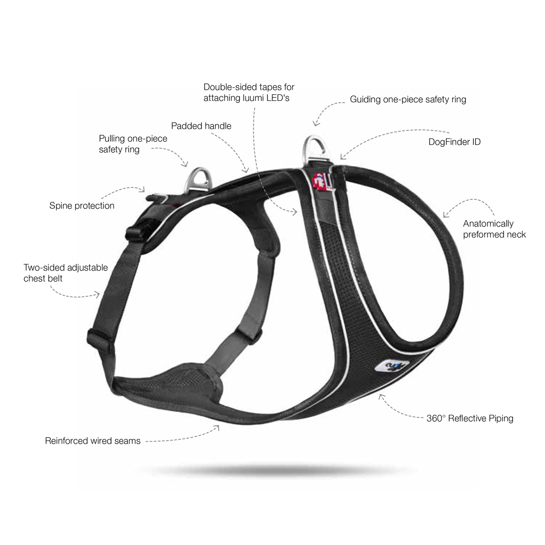 Curli Belka Air Mesh Harness For Larger Dogs