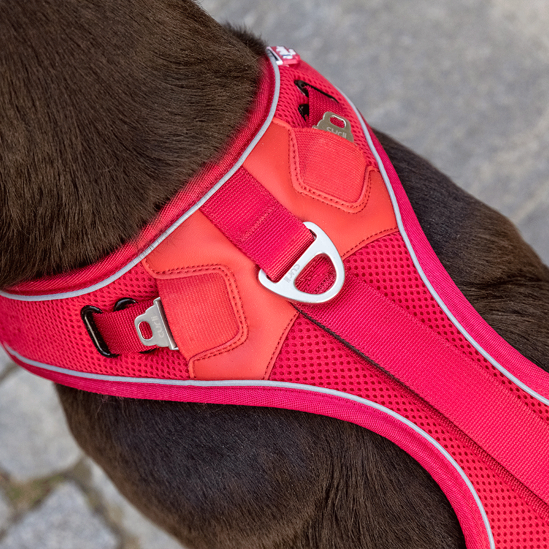 Curli Belka Air Mesh Harness For Larger Dogs
