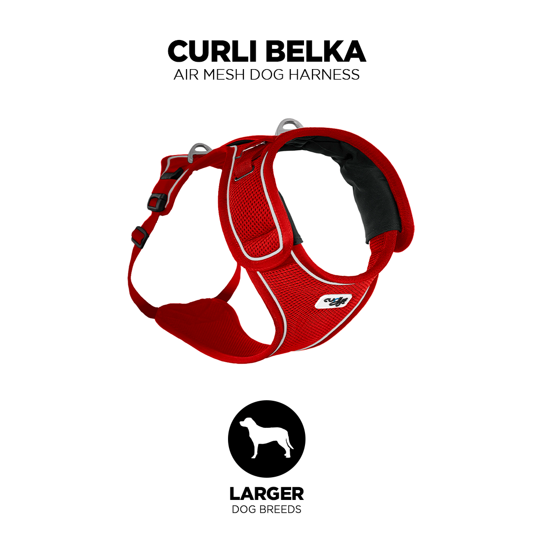 Curli Belka Air Mesh Harness For Larger Dogs