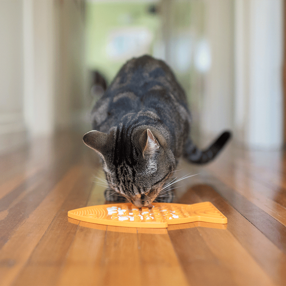LickiMat Felix Cat Food Bowl