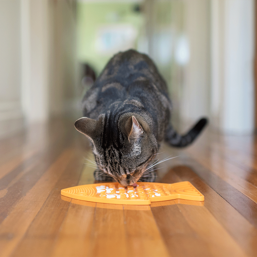 LickiMat Felix Cat Food Bowl