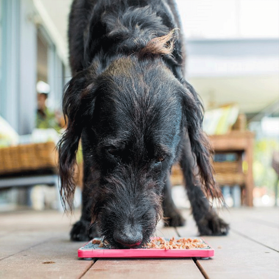 LickiMat Playdate TUFF Pet Food Bowl