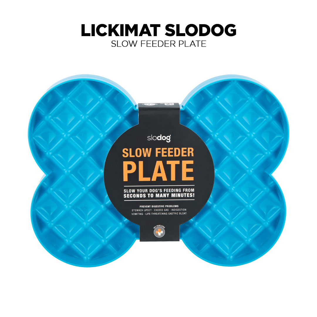 LickiMat SloDog Pet Food Bowl