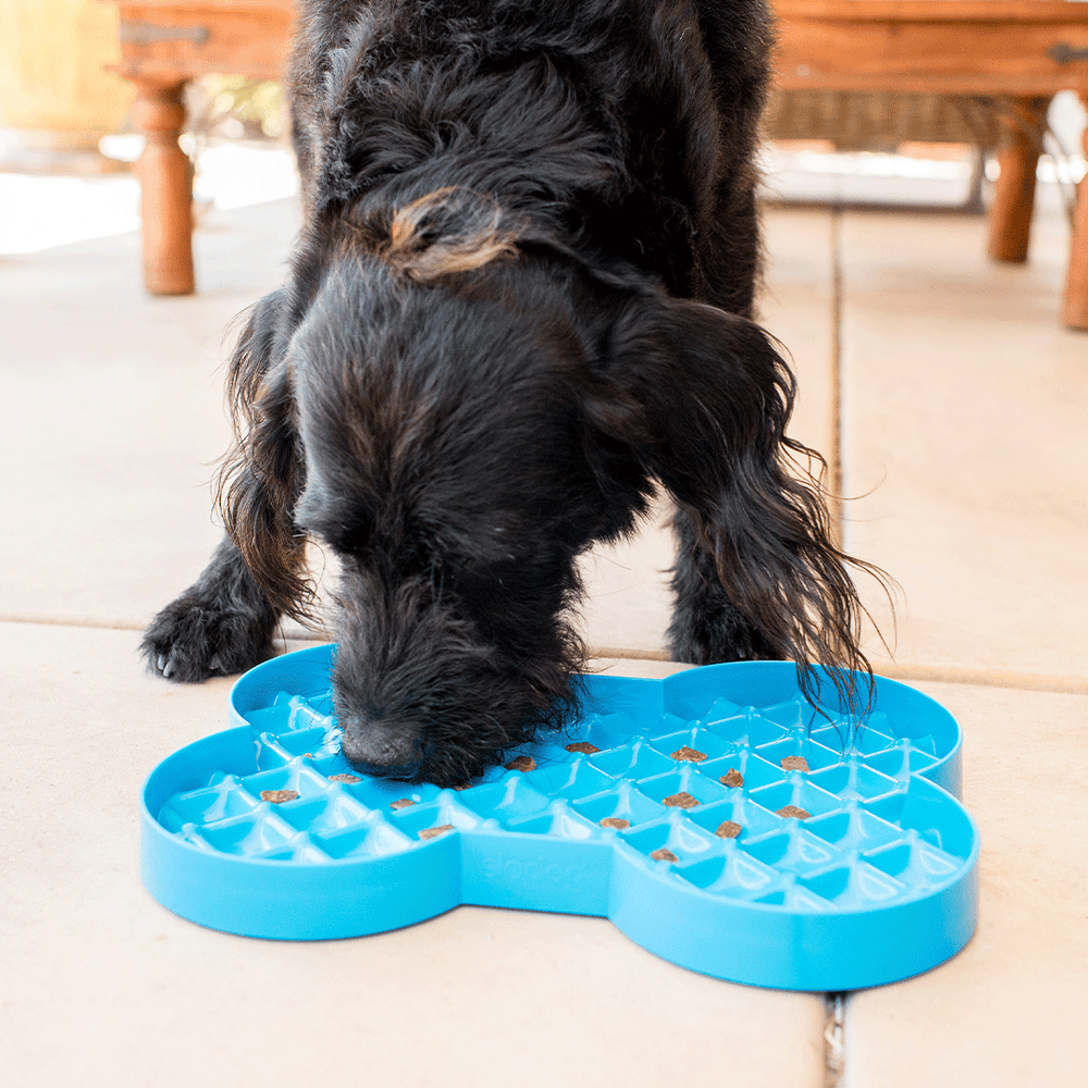 LickiMat SloDog Pet Food Bowl