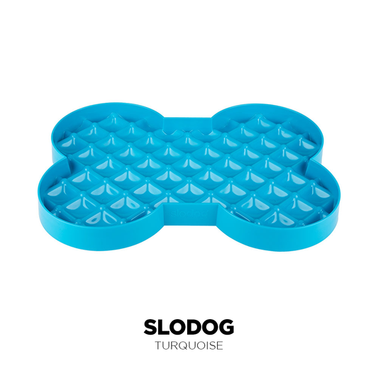 LickiMat SloDog Pet Food Bowl