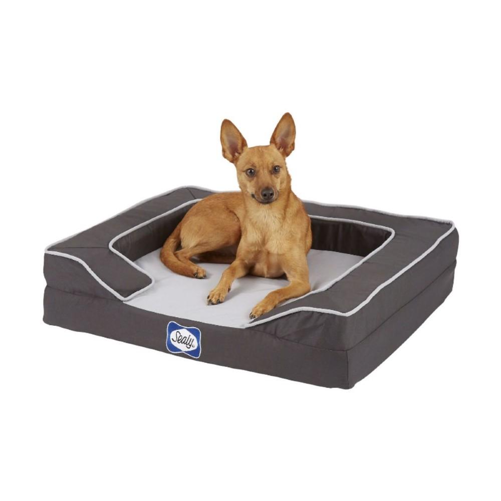 Sealy Lux Orthopedic Dog Bed - Medium