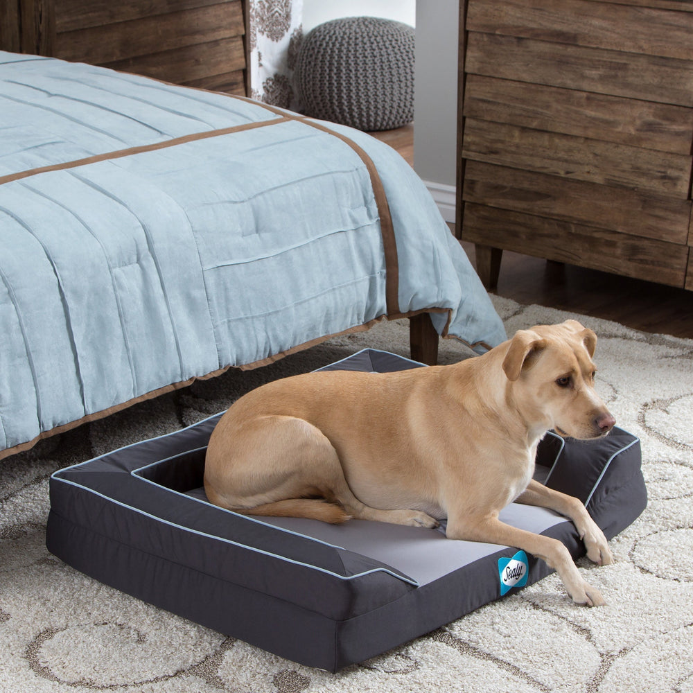 Sealy Lux Orthopedic Dog Bed - Jumbo