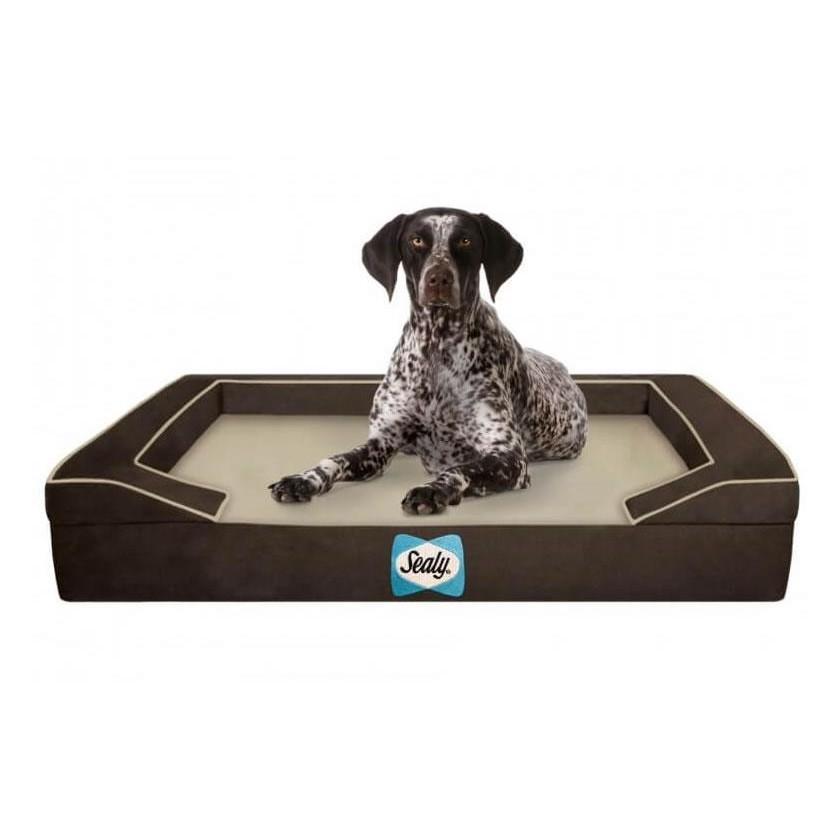 Sealy Lux Orthopedic Dog Bed - Jumbo