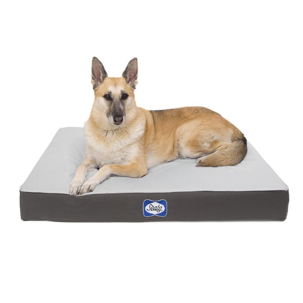 Sealy Defender Water Resistant Dog Bed - Medium