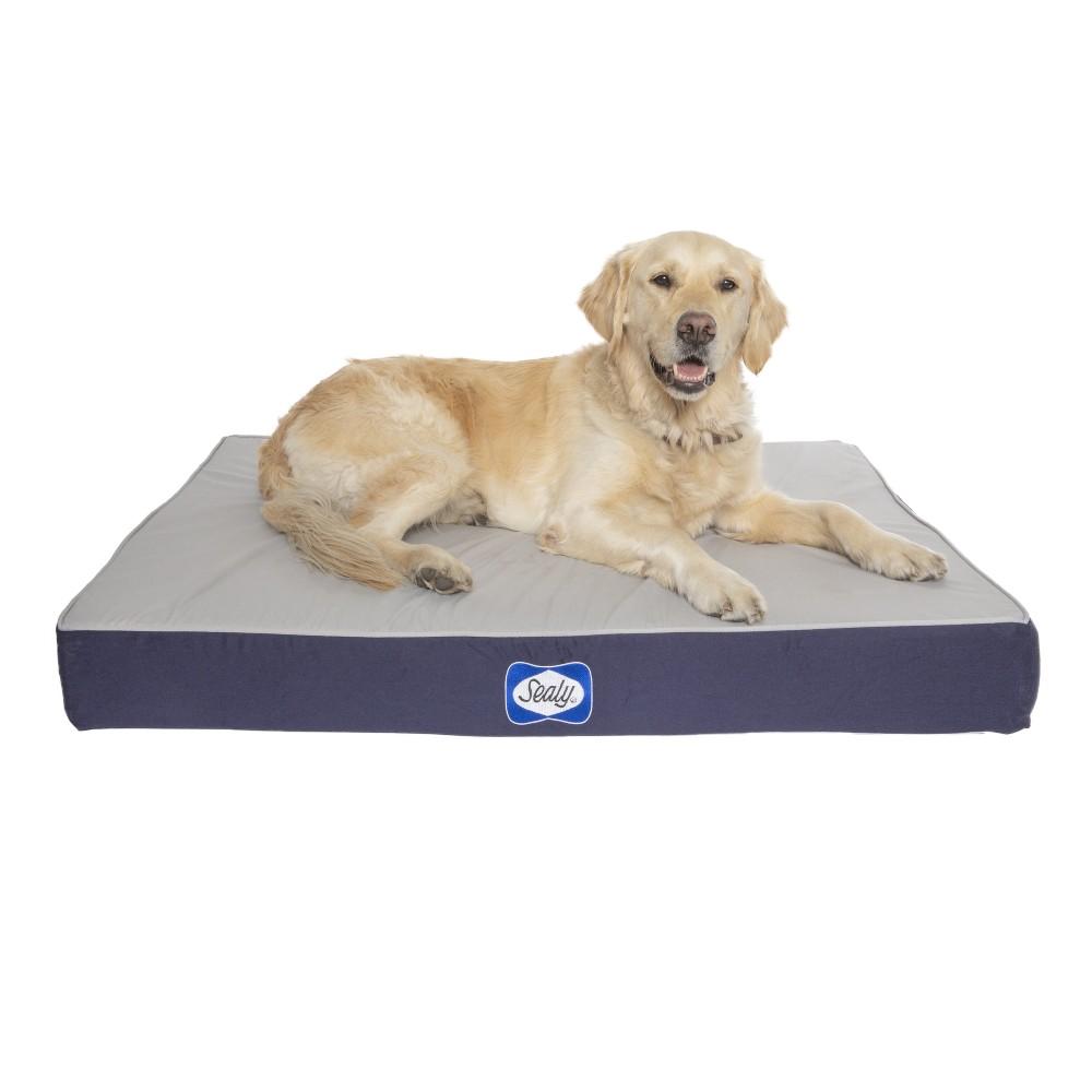 Sealy Defender Water Resistant Dog Bed - Medium