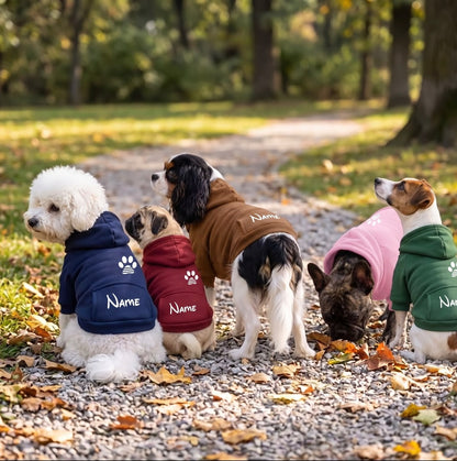 Custom Pet Hoodie