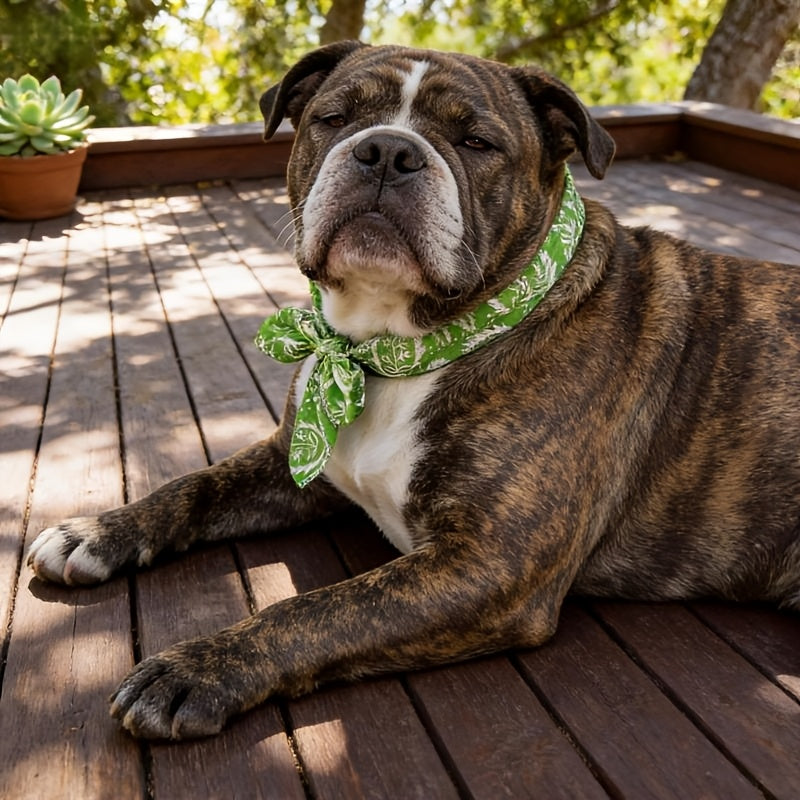 Cooling bandana pair, flat