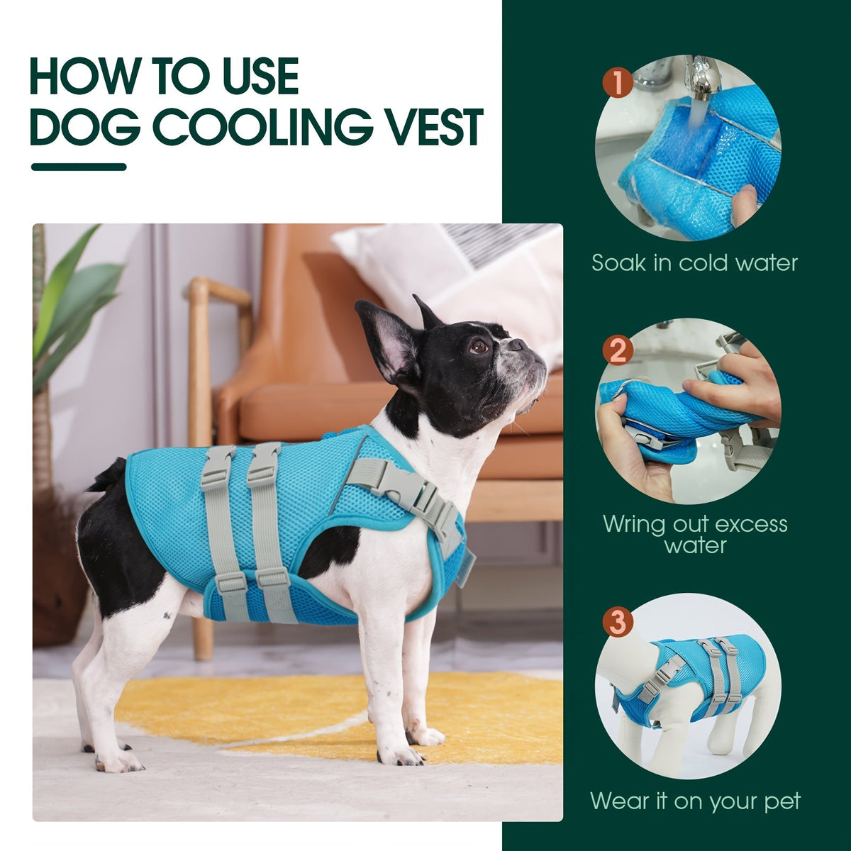 How to use the vest: soak in cold water, wring out the excess, then fit it on your dog