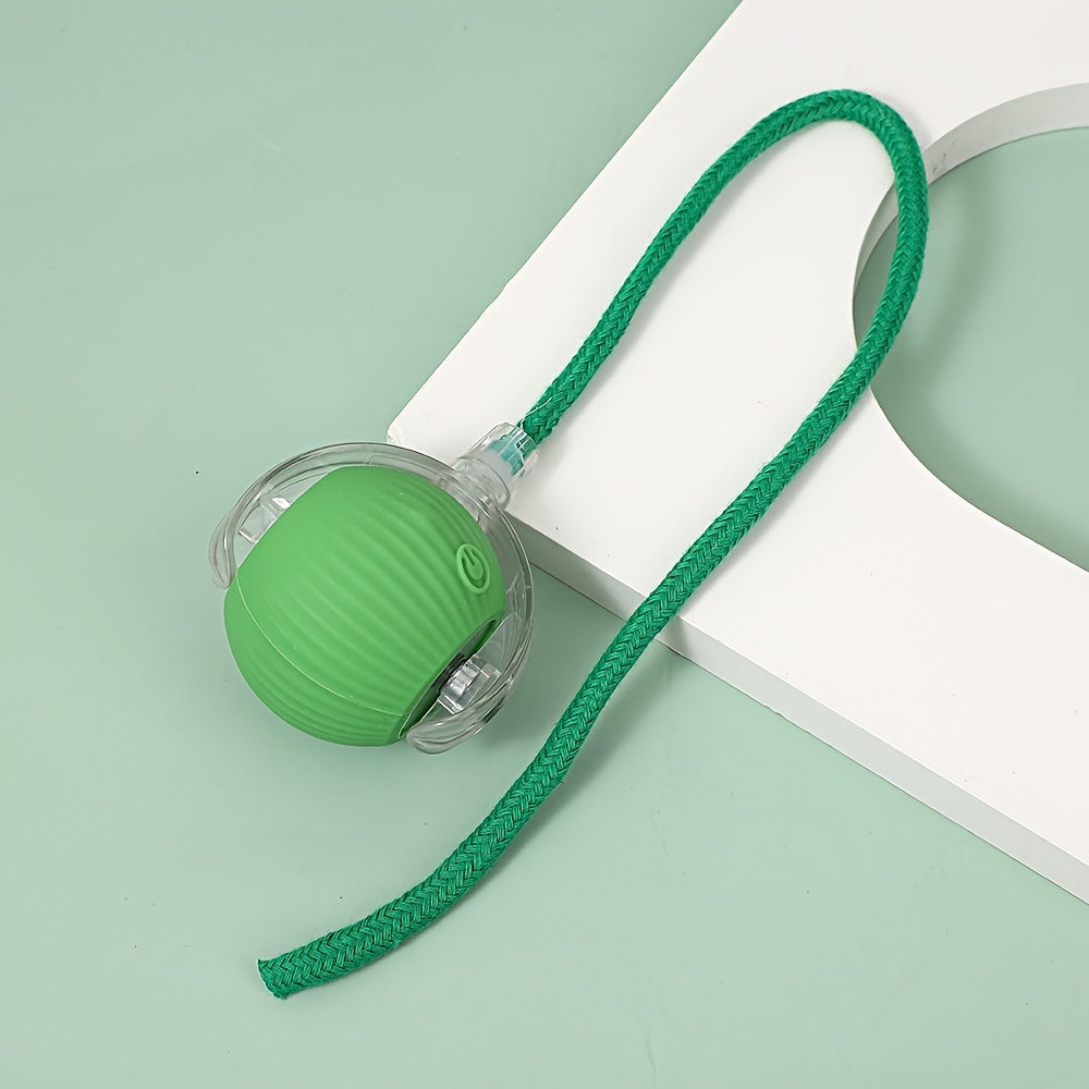 Small electric self-rolling cat ball