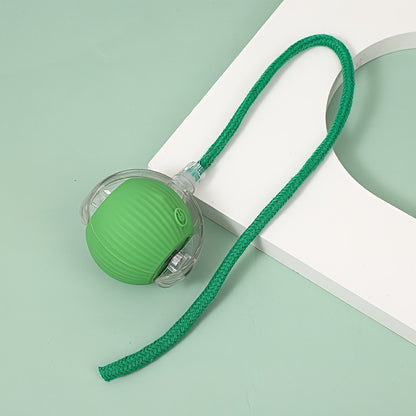 Small electric self-rolling cat ball
