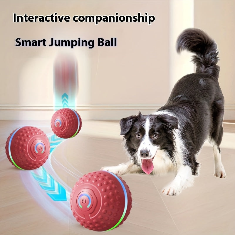 Dog chasing the bouncing ball indoors